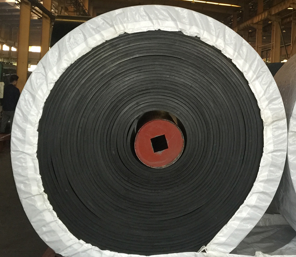 Ripstop Conveyor Belt