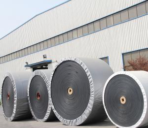CC Conveyor Belt